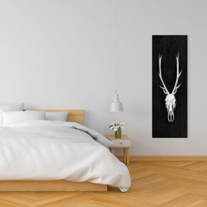 Deer skull on black background