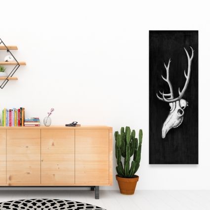 Deer skull in the dark