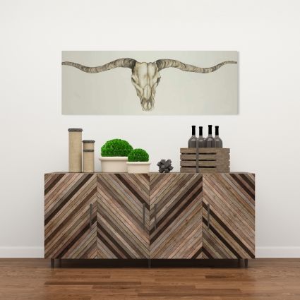 Long horn skull country