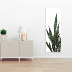 Toile 16 x 48 - Plante couteau