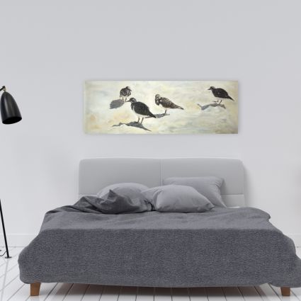 Sandpiper birds