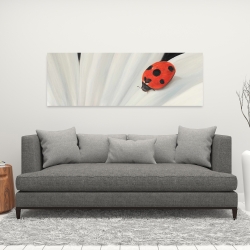 Canvas 16 x 48 - White daisy and ladybug