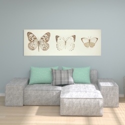 Canvas 20 x 60 - Sepia butterflies