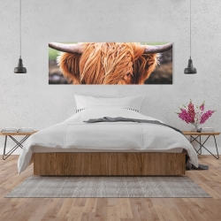 Canvas 20 x 60 - Portrait highland cow