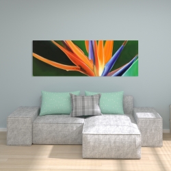 Canvas 20 x 60 - Bird of paradise flower 