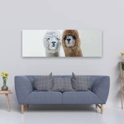 Canvas 20 x 60 - Two lamas
