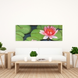 Canvas 20 x 60 - Lotus flowers in a swamp