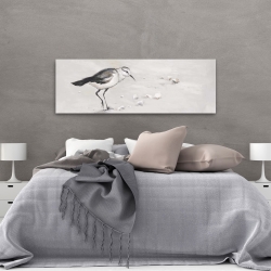 Toile 20 x 60 - Bécasseau semipalmé