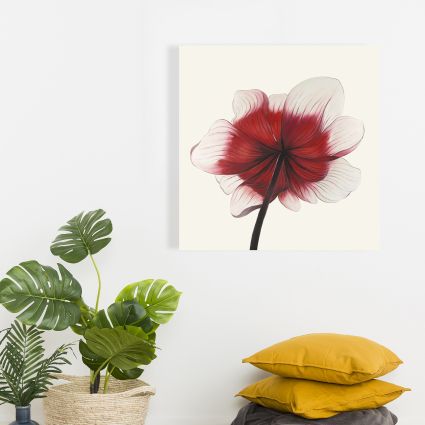 Fleur anémone rouge
