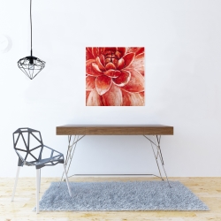 Canvas 24 x 24 - Red chrysanthemum