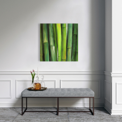Canvas 24 x 24 - Green bamboo