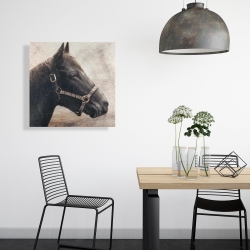 Toile 24 x 24 - Gallopin le cheval brun
