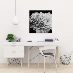 Canvas 24 x 24 - Beautiful black and white flower