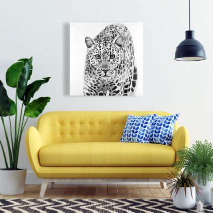 Leopard ready to attack