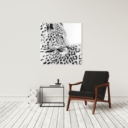 Beautiful leopard