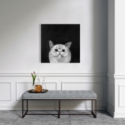 Canvas 24 x 24 - Watching cat