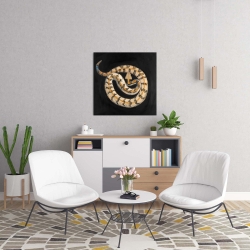 Canvas 24 x 24 - Southern timber rattlesnake