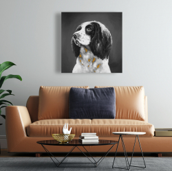 Canvas 24 x 24 - English springer spaniel dog