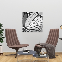 Canvas 24 x 24 - Monarch wings closeup