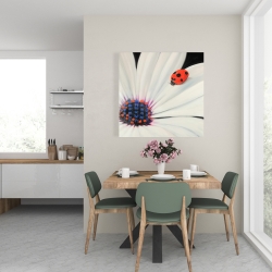 Canvas 24 x 24 - White daisy and ladybug