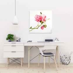 Toile 24 x 24 - Fleurs de magnolia