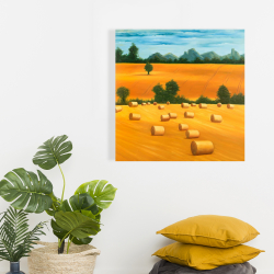 Canvas 24 x 24 - Hay bale fields