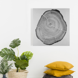 Canvas 24 x 24 - Grayscale wood log
