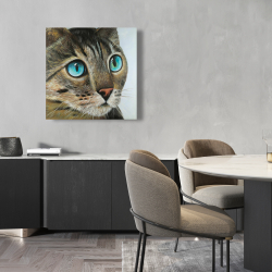 Canvas 24 x 24 - Curious cat portrait