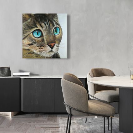 Curious cat portrait