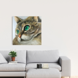 Canvas 24 x 24 - Peaceful cat portrait
