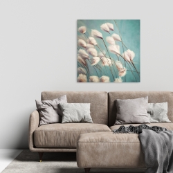 Canvas 24 x 24 - Cotton grass flowers in the wind