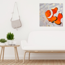 Canvas 24 x 24 - Clownfish
