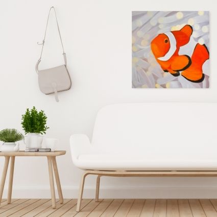 Clownfish