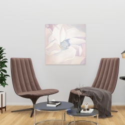 Canvas 24 x 24 - Delicacy