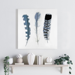 Canvas 24 x 24 - Delicate blue feathers