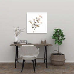 Canvas 24 x 24 - A branch of cotton flowers