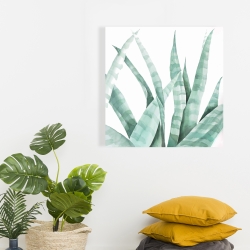 Canvas 24 x 24 - Watercolor striped desert plant