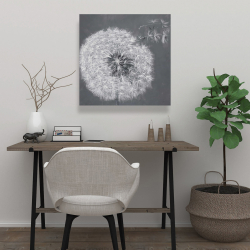 Canvas 24 x 24 - Blowing dandelion