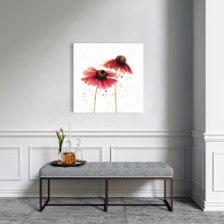 Canvas 24 x 24 - Two pink daisies