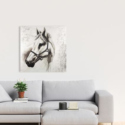 Flicka le cheval blanc