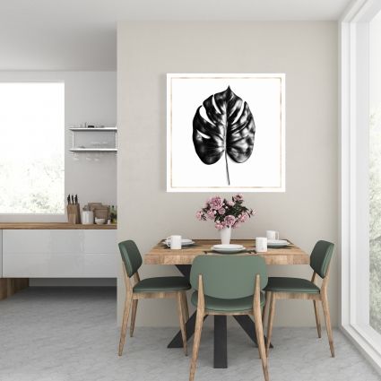 Split leaf philodendron with rose line