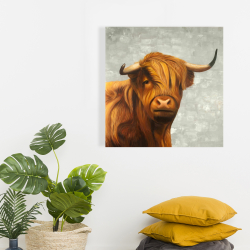 Canvas 24 x 24 - Highland cattle