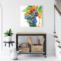 Canvas 24 x 24 - Colorful bunch of grapes