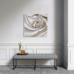 Canvas 24 x 24 - White rose closeup