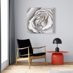 Toile 24 x 24 - Centre d'une rose blanche
