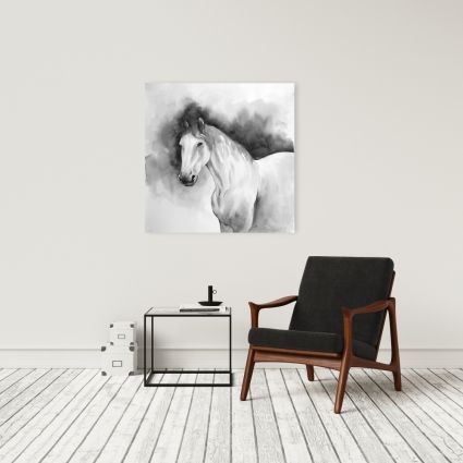 Domino le cheval