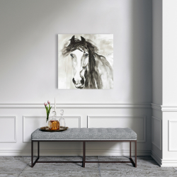 Toile 24 x 24 - Magnifique cheval sauvage
