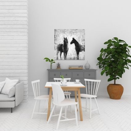 Black and white horses