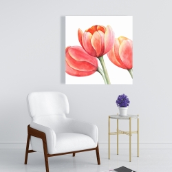 Canvas 24 x 24 - Three tulips closeup