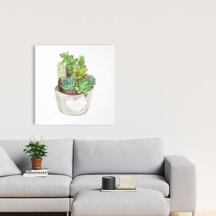 Cactus assortment in a pot